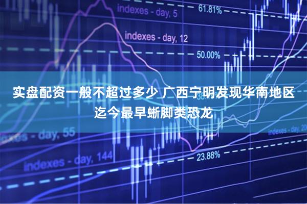 实盘配资一般不超过多少 广西宁明发现华南地区迄今最早蜥脚类恐龙